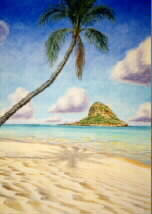 Chinaman's Hat