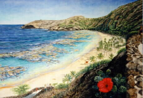 Hanauma Hibiscus