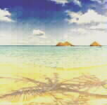 The Lagoon