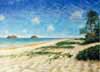 Bill Braden Collection