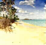 Shifting Sands