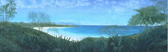 "Mauna Kea Beach, Hawaii" by Bill Braden