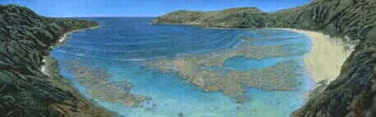 "Hanauma Bay, Oahu" by Bill Braden