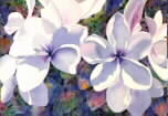 "Jeweled Plumerias" by Carli Oliver