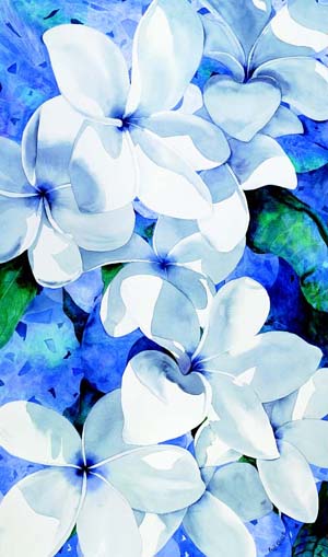 Plumeria Shadows