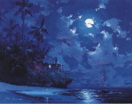 Midnight Surf