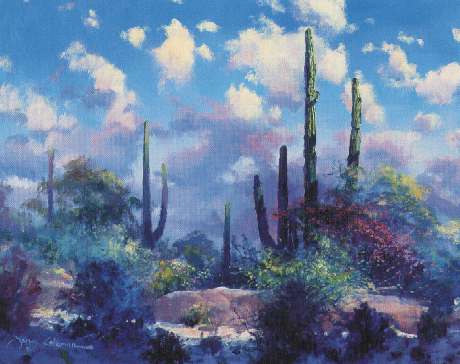 Desert Light