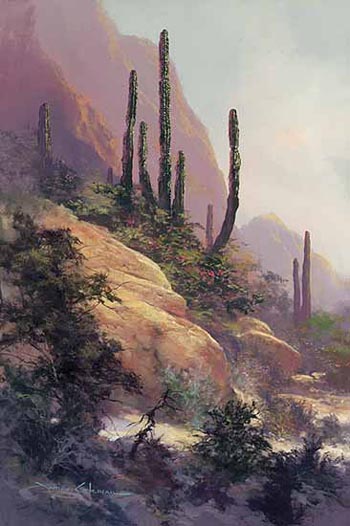 Desert Warm