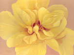 "Yellow Hibiscus" by Dana Queen
