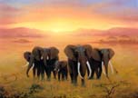 Elephants in the Sunset