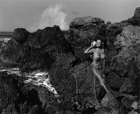 Mermaid - Alan Houghton