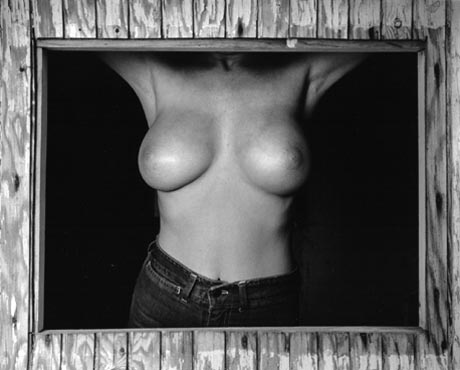 "Nude In Window" by Alan Houghton