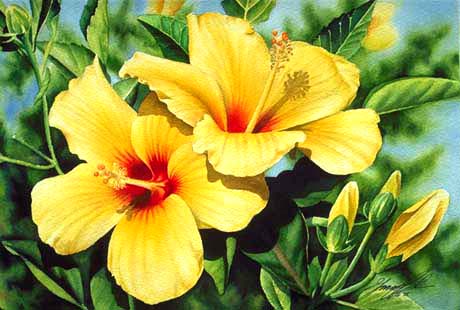 "Yellow Hibiscus #3" by Garry Palm