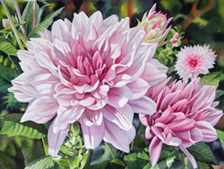 "Giant Pink Dahlias" by Garry Palm