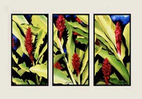 "Red Ginger Triptych" by Garry Palm