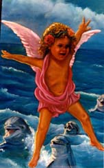 Angel & Dolphins