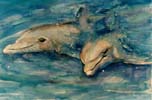 Two Dolphins